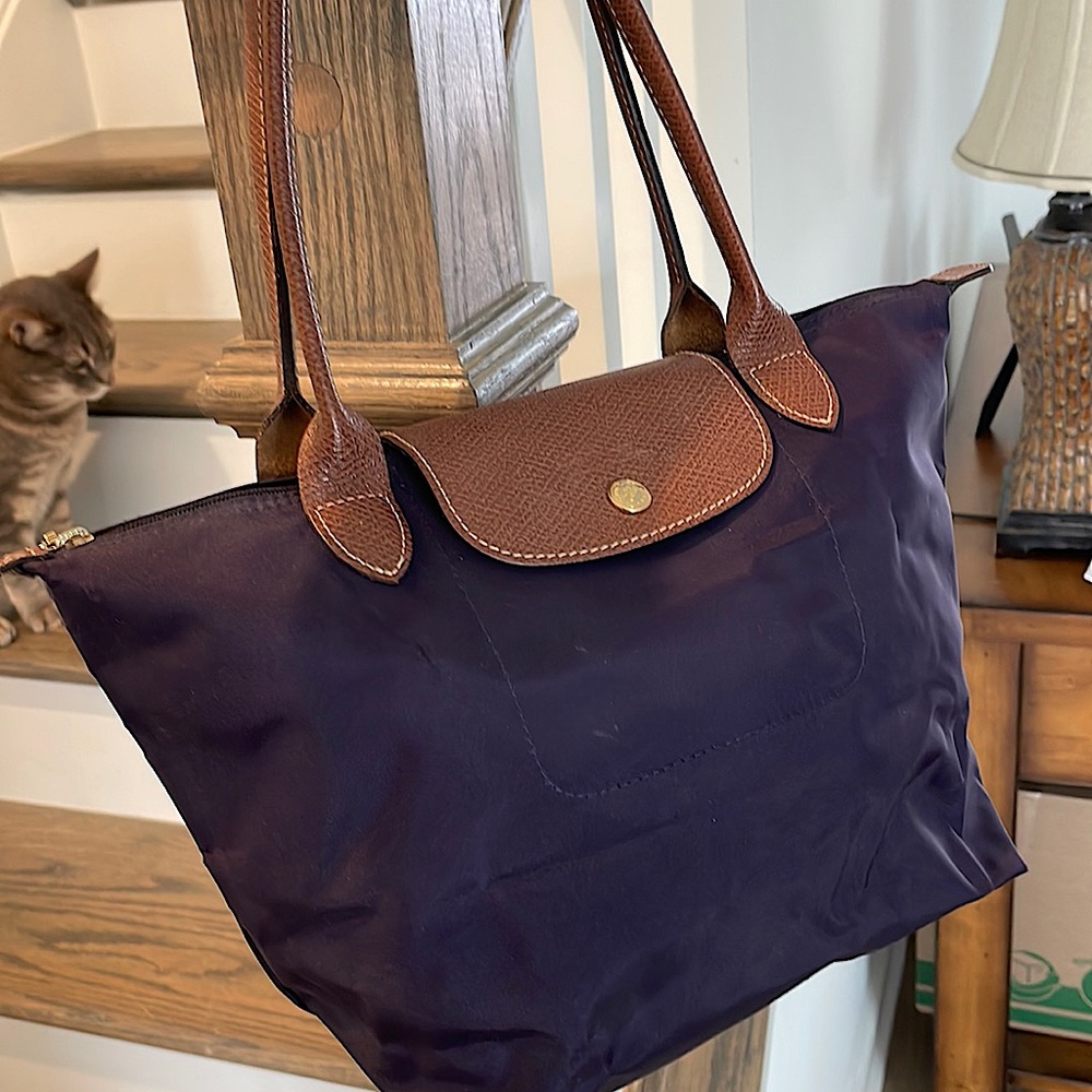 Longchamp Small Tote Bag in Eggplant